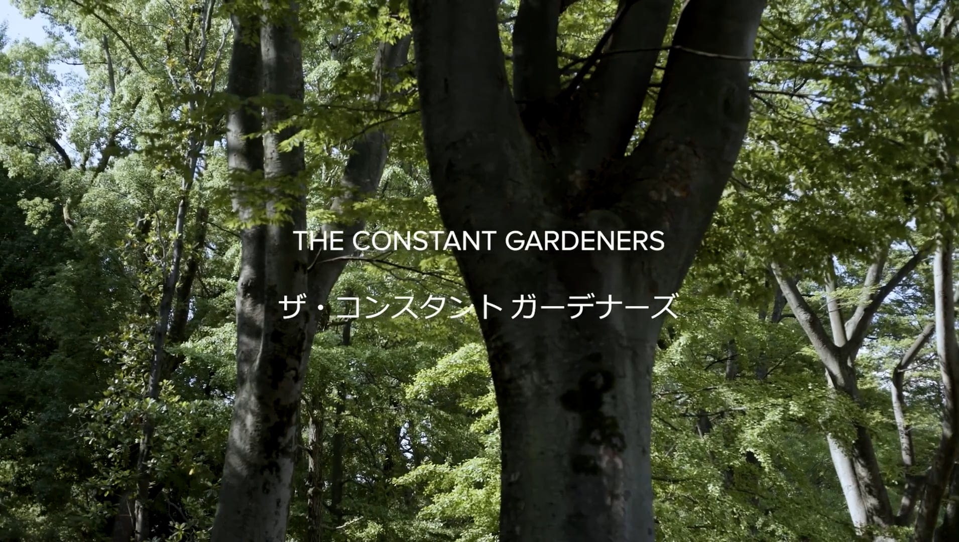 Video The Constant Gardeners